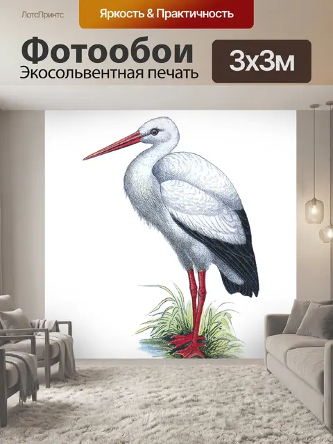 Фотообои Винтажная иллюстрация аиста