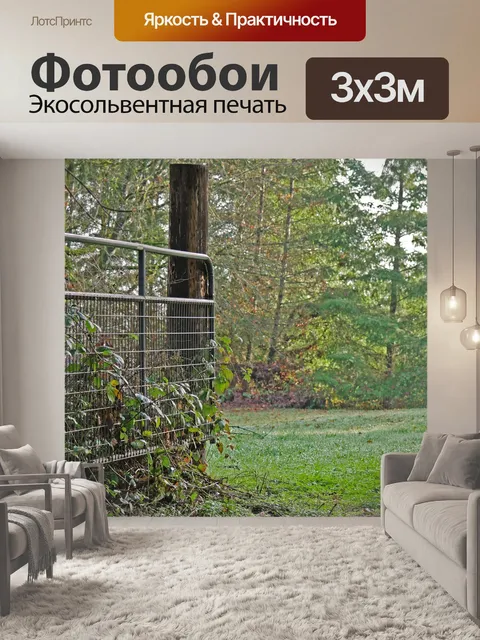 Фотообои Ворота выгона