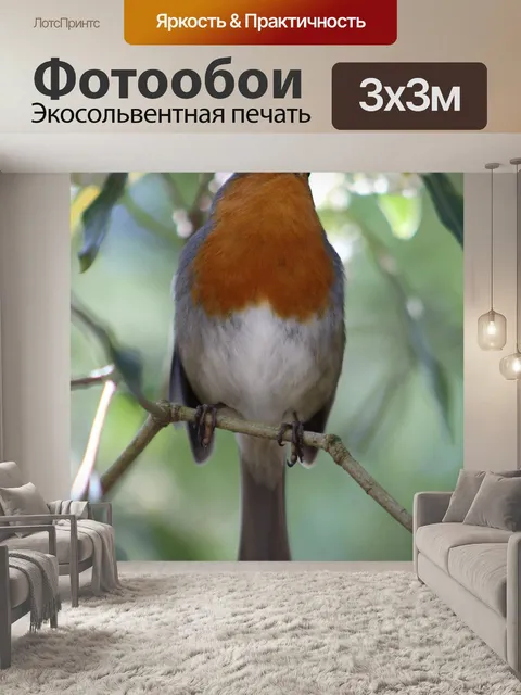 Фотообои Птицы