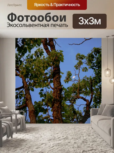 Фотообои Дерево на фоне неба