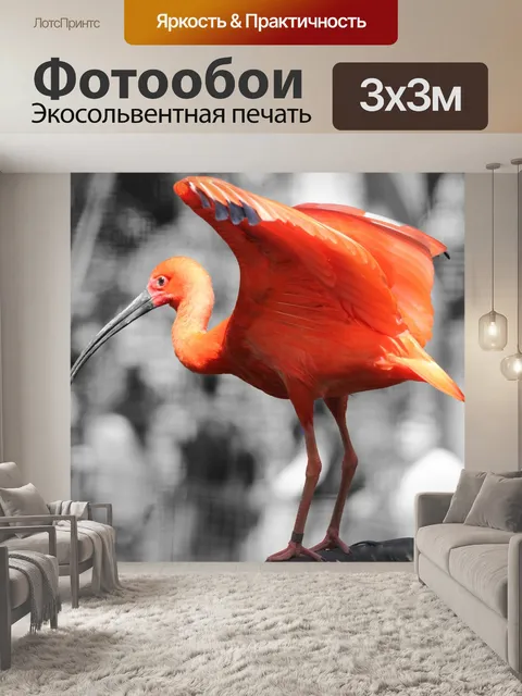 Фотообои Фламинго