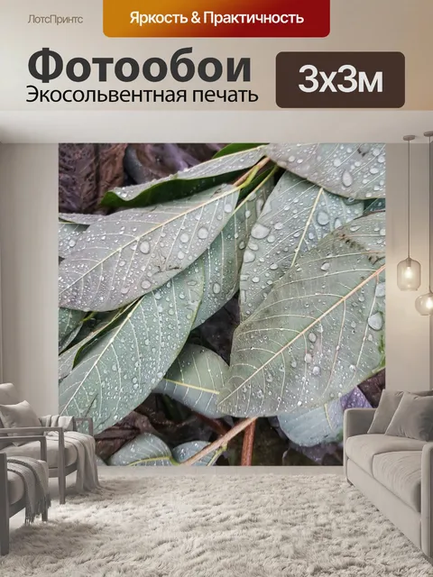 Фотообои Серебряные капли дождя на листьях