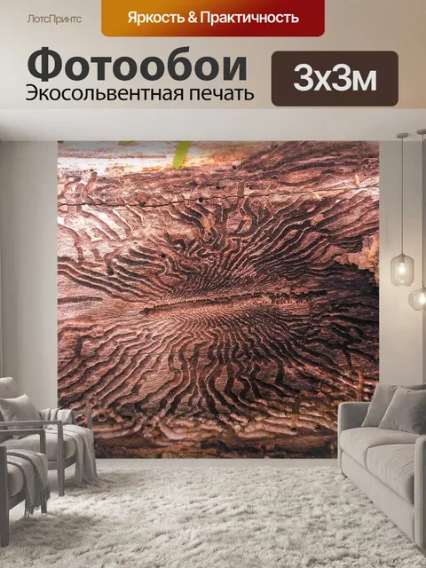 Фотообои Изумрудно-ясеневый бурильщик