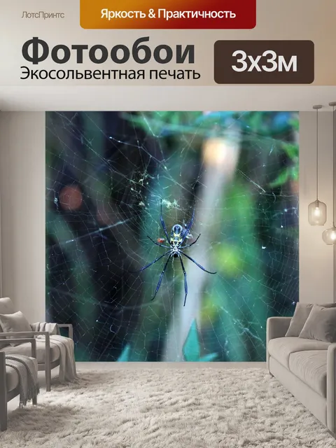 Фотообои золотой шар ткач паук на ее паутине