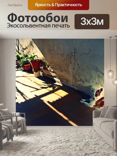 Фотообои Двор