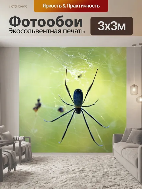 Фотообои Спинная сторона золотого ткача сферы