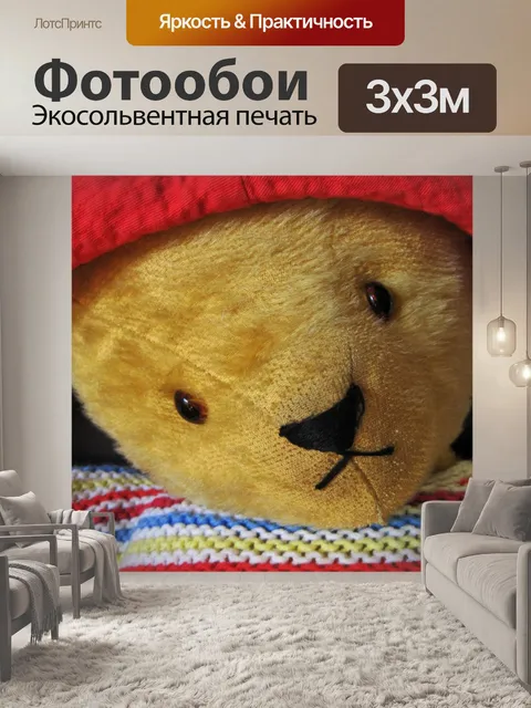 Фотообои мишка с красной шляпе