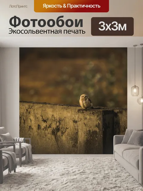 Фотообои Сова