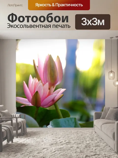 Фотообои Две кувшинки и солнце фон