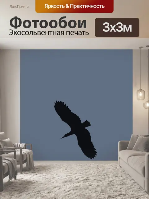 Фотообои вырез изображение большой птицы