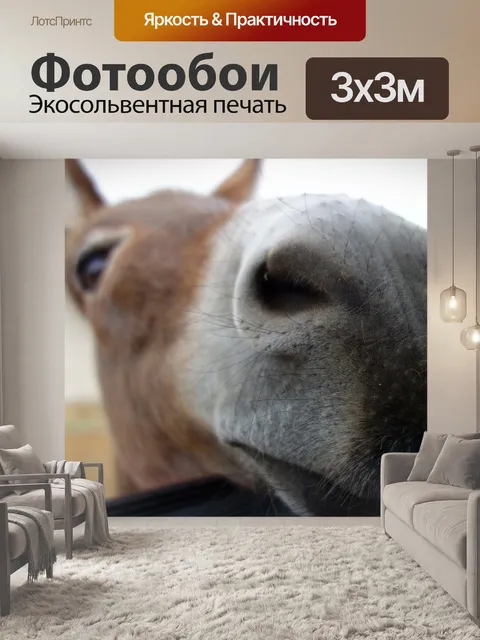Фотообои Осел