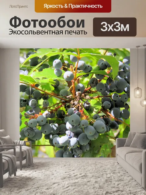 Фотообои черника