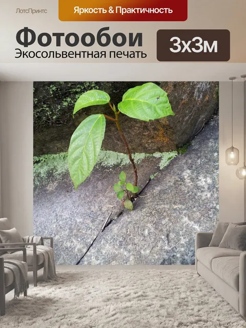Фотообои Завод внутри каменной скалы