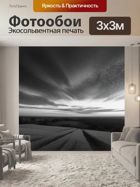 Фотообои живопись пейзаж с закатом чернобелый