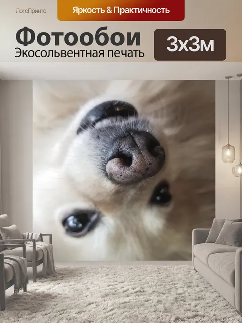 Фотообои Перевернутая собака