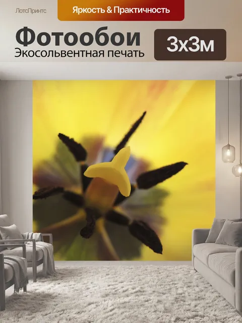 Фотообои Тюльпан
