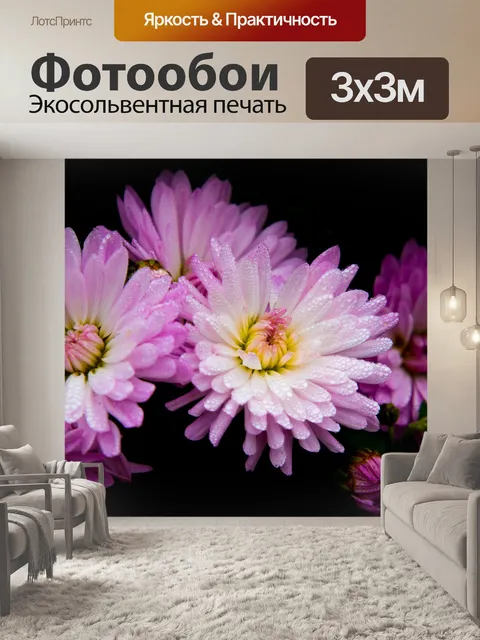Фотообои Хризантемы