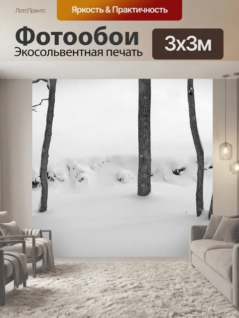 Фотообои Заснеженные Крик