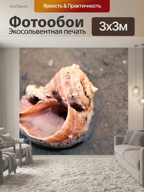 Фотообои Морская ракушка