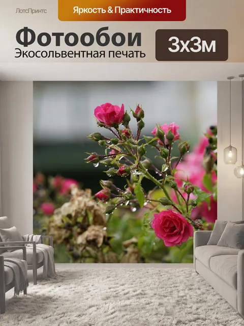 Фотообои Розы