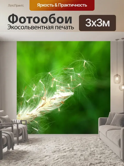 Фотообои Сухой дикий цветок