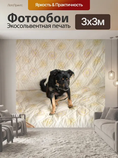 Фотообои Царапины собаки