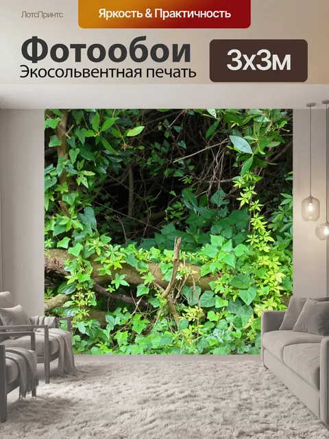 Фотообои зеленый субтропический лес