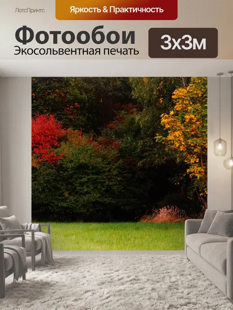 Фотообои Осень деревья листва осень листва
