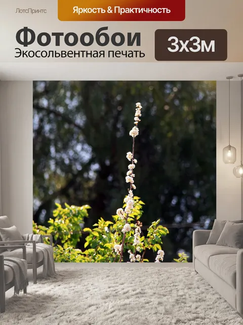 Фотообои ветка с белыми цветами