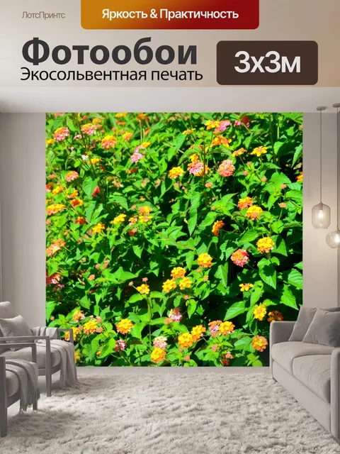 Фотообои Лантана цветок фон