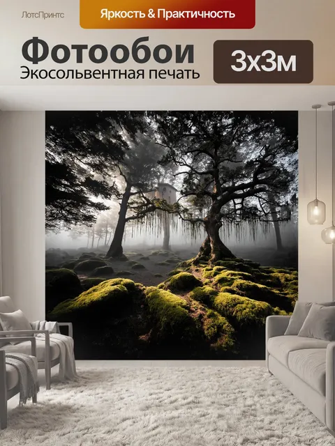 Фотообои древние ели, покрытые мягким слоем тумана, возвышаются над мшистыми камнями, придавая всей сцене…