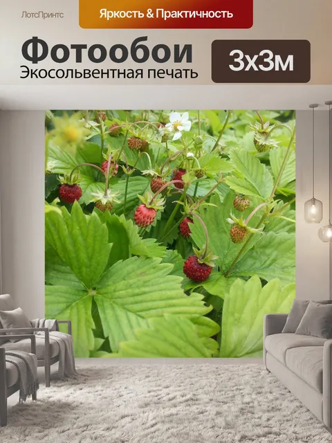 Фотообои Земляники