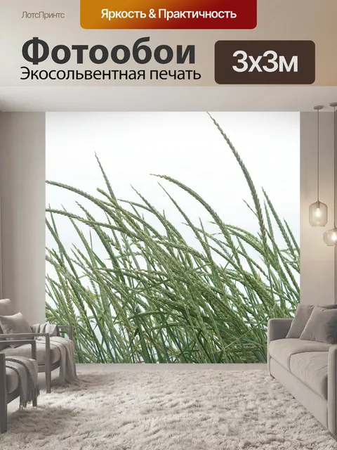 Фотообои Буффало трава