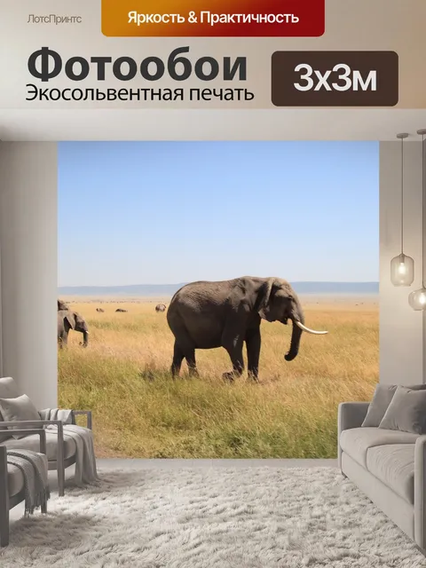 Фотообои Слон