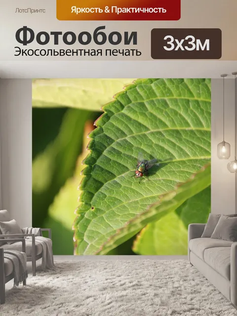 Фотообои Bluebottle