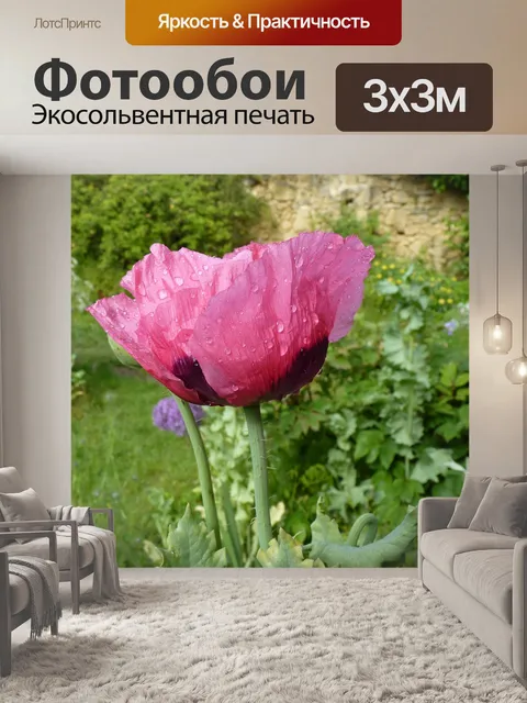 Фотообои Цветок