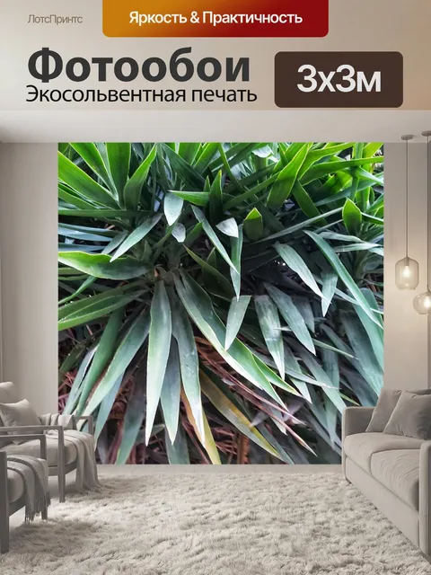 Фотообои Крупный план зеленых листьев растений