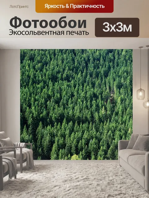 Фотообои Лес