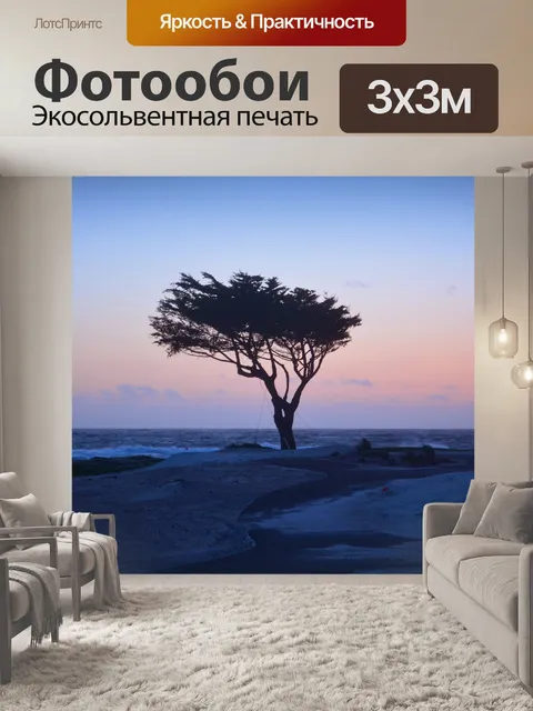 Фотообои Тихоокеанский