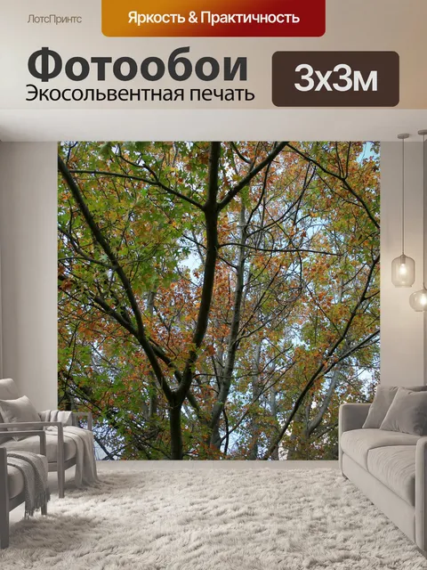 Фотообои ветви с листьями меняющихся
