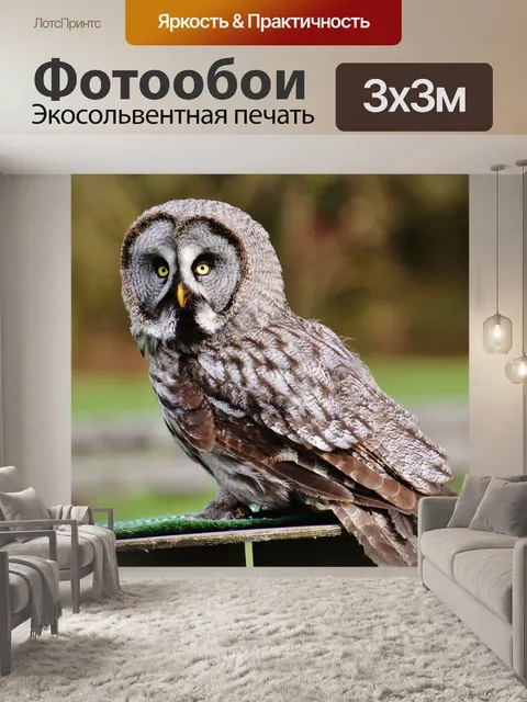 Фотообои Барт сова