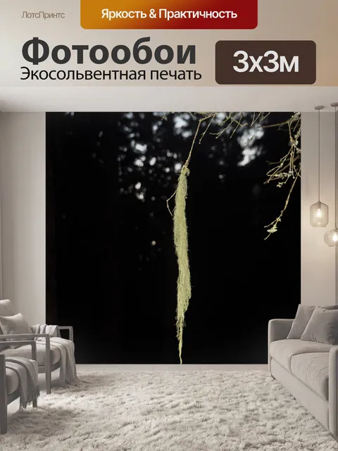 Фотообои Мох