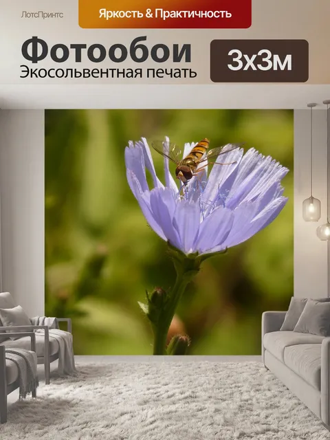 Фотообои Зимний парящий полет
