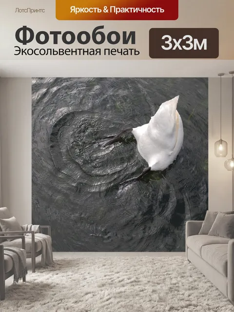 Фотообои Лебедь