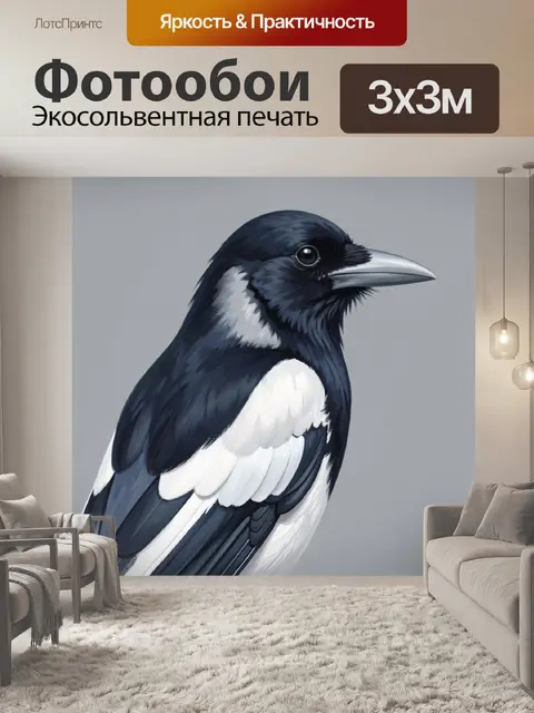 Фотообои Черно-белая птица в профиль