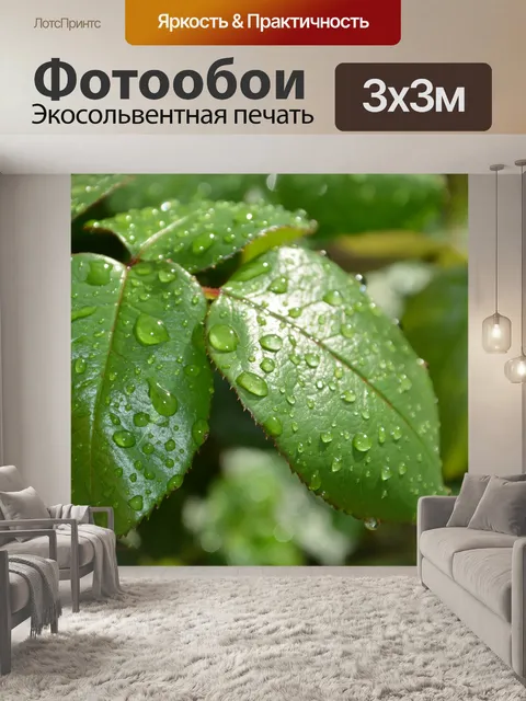 Фотообои Лист
