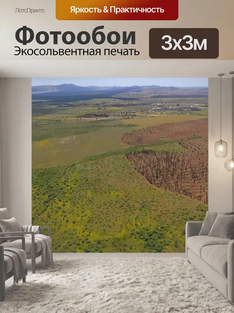 Фотообои Чили