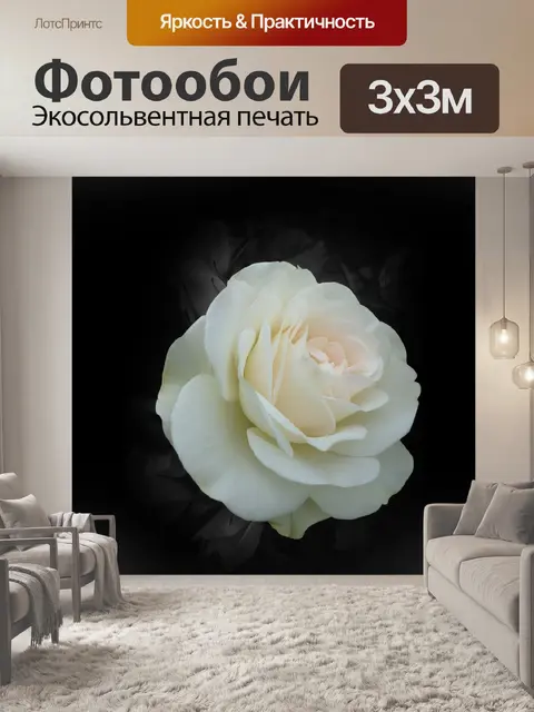 Фотообои Цветок