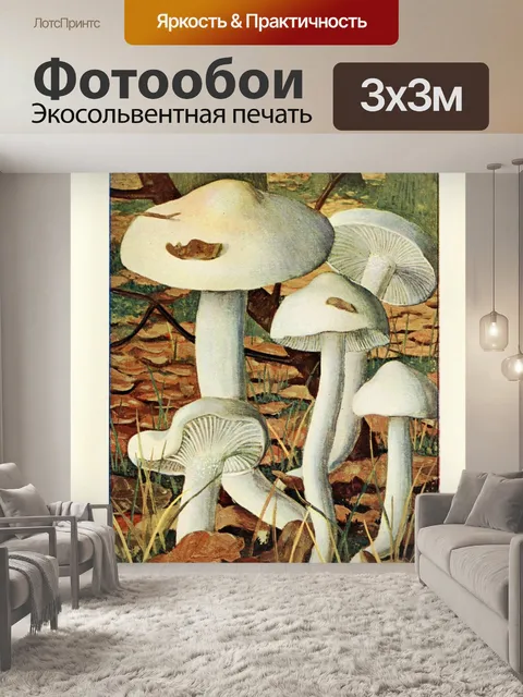 Фотообои Грибы век винтаж старый