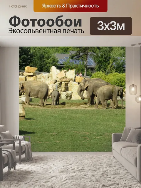 Фотообои Слоны в зоопарке